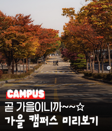 10월 1주차 인스타그램