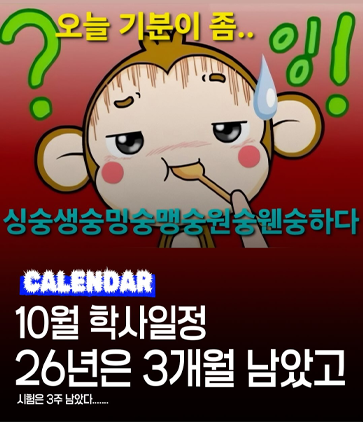 10월 2주차 인스타그램 3